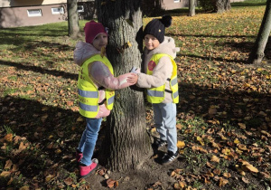 Akcja "Przytul się do drzewa"