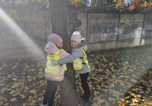 Akcja "Przytul się do drzewa"