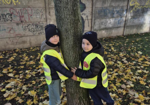 Akcja "Przytul się do drzewa"