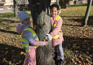 Akcja "Przytul się do drzewa"