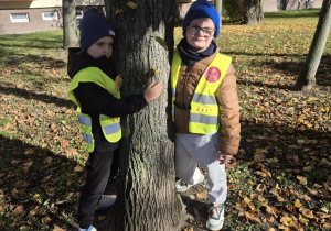 Akcja "Przytul się do drzewa"