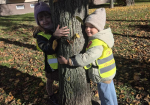 Akcja "Przytul się do drzewa"