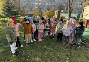 Kreciki w ogrodzie przedszkolnym