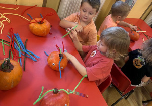 ozdabianie dyni Wojtek Franek