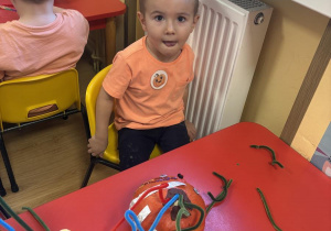 ozdabianie dyni Olek