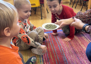 ziarenka Marcel Tymek