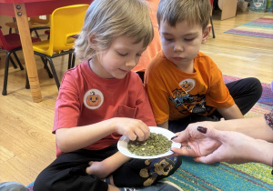 ziarenka FranekNikodem