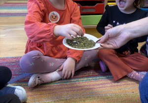 ziarenka Maja Aniela