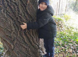 Przytul się do drzewa