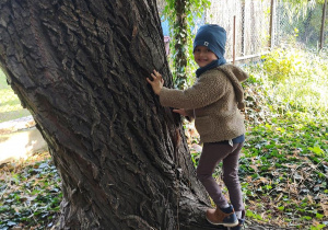 Jasio przytula się do drzewa