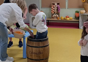 Staś pomaga deptać kapustę.