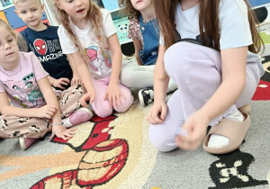 zajęcia matematyczne