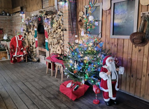 Wycieczka do Konarzewa.