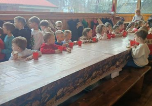 warsztaty edukacyjne