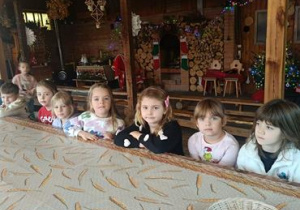 warsztaty edukacyjne