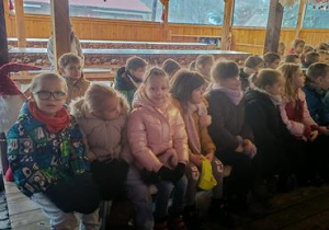 warsztaty edukacyjne