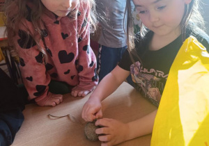 Dzieci przygotowują kule dla ptaków.