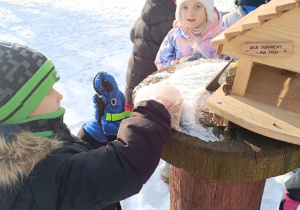 Dzieci dokarmiają ptaki.