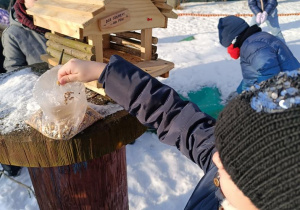 Dzieci dokarmiają ptaki.