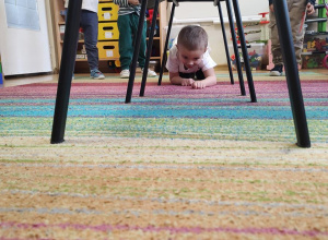 Światowy Dzień Kota