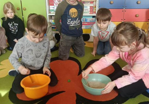 Poznajemy świat dinozaurów