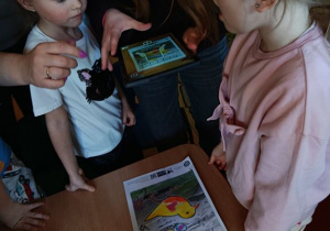 zajęcia interaktywne