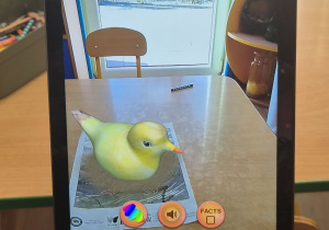 Zajęcia interaktywne.