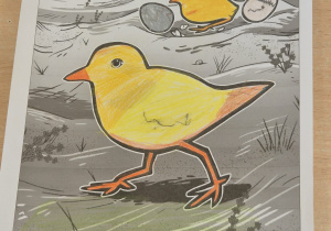 Zajęcia interaktywne.