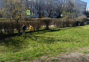 zajączek wielkanocny