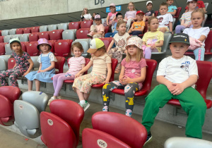 Kreciki na stadionie