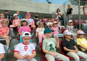 Kreciki na stadionie