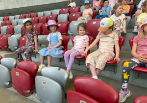 Kreciki na stadionie