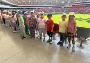 Kreciki na stadionie