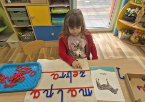 Zwierzęta świata.