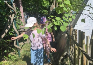 Wycieczka do Malinowego Grodu