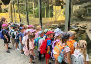 Wycieczka do ZOO w Łodzi