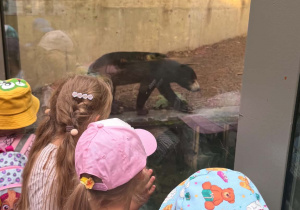 Wycieczka do ZOO w Łodzi