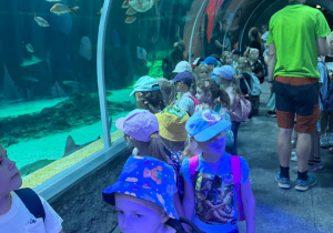 Wycieczka do ZOO w Łodzi