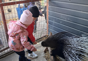 Wycieczka dzieci z grupy "Motylki" do "Stajni Oleszcze"
