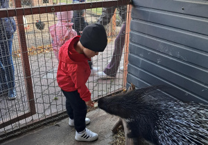 Wycieczka dzieci z grupy "Motylki" do "Stajni Oleszcze"