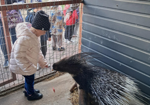 Wycieczka dzieci z grupy "Motylki" do "Stajni Oleszcze"