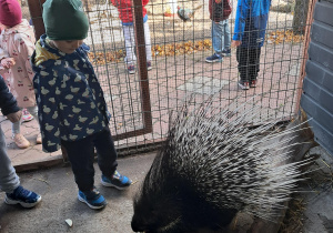 Wycieczka dzieci z grupy "Motylki" do "Stajni Oleszcze"