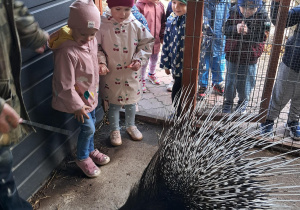 Wycieczka dzieci z grupy "Motylki" do "Stajni Oleszcze"