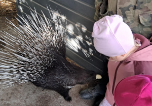 Wycieczka dzieci z grupy "Motylki" do "Stajni Oleszcze"