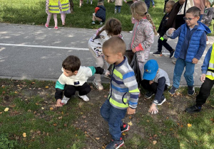 sprzątnie świata