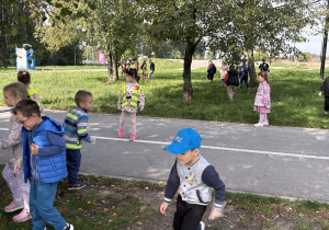 sprzątnie świata