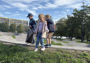 sprzątnie świata