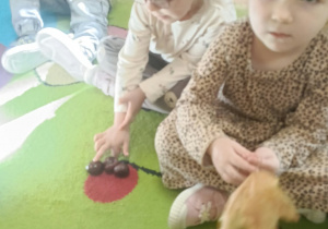 Dzień Kasztana