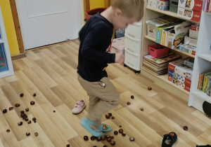 Dzień Kasztana