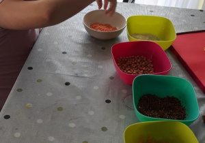 Marianka przygotowuje się do wykonania obrazka z materiałów przyrodniczych.